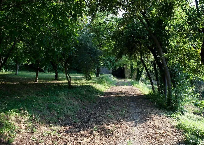 Bed & Breakfast La Foresteria Del Convento