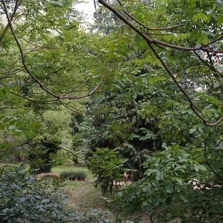 La Foresteria Del Convento