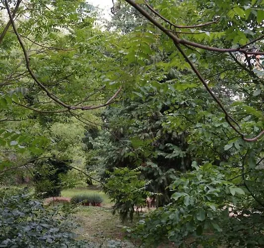 La Foresteria Del Convento